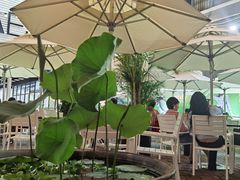 -813芭依珊 BAESAn(皇冠十畝地店)