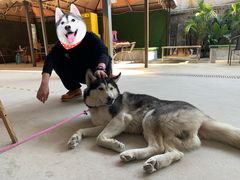 -光头佬室内钓虾场·烧烤·团建·亲子(中山八路店)