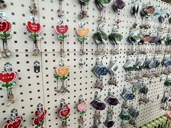 -荷兰花海