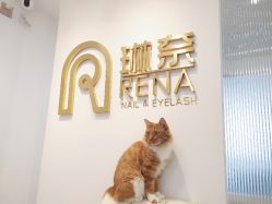 -Rena nail 美甲美睫私人定制