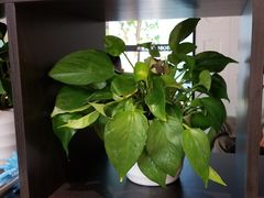 -布吉佳兆业广场