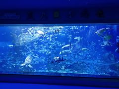 -多彩贵州城极地海洋世界