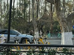 -也枫·小黄楼(南山路旗舰店)