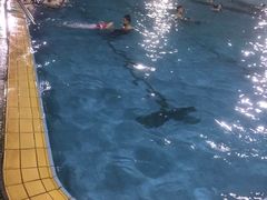 -梅林一村游泳池