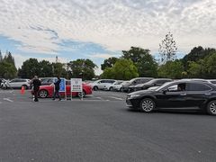 -上海佘山国家森林公园东门地面停车场