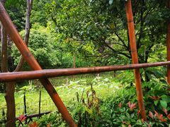 -高荡千年布依古寨旅游景区