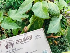 -广州神农草堂中医药博物馆