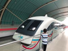 -龙阳路磁悬浮列车总站-停车场