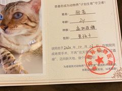 -奈斯宠物医院·核磁CT·异宠专科·内镜(中南店)