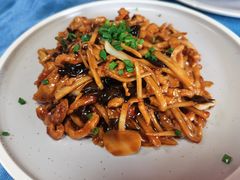 -丁老爷子苏香圆