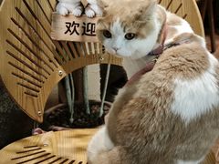 -天河体育中心