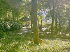 -东庐山观音寺