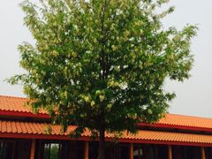 意大利农场-意大利农场度假村