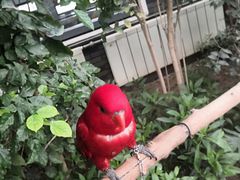 -南宫温泉水世界