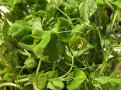 -牛村来人潮汕牛肉火锅(西单店)