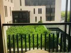 -上海崇明金茂凯悦酒店