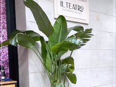-IL TEATRO 精品意大利餐厅