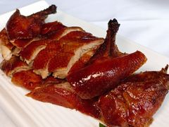 脆皮小乳鸭-圆苑(金茂店)