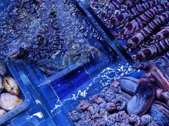 -金苑海鲜酒家(来魅力店)