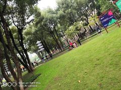 -重庆市江北嘴中央商务区中央公园