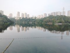 -重庆彩云湖湿地公园