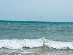 -长江澳风力发电景观区
