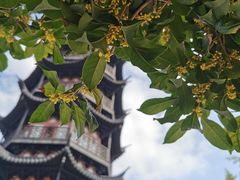 -西林禅寺