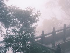 -青城山