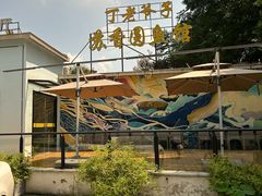 -丁老爷子苏香圆
