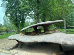 -北京野生动物园