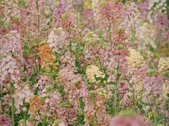 -中国天府农业博览园