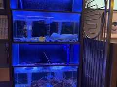 -家贺屋刺身寿司专门店