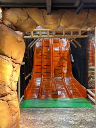 -卡通尼·Safari非洲探索乐园·生日会(金桥国际商业广场店)