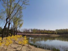 -大兴滨河森林公园