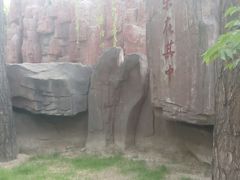 android_upload_pic-迎泽公园