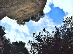 -窦圌山风景区