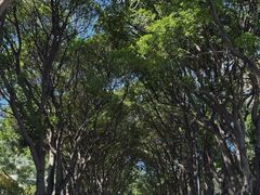 -厦门悦华酒店