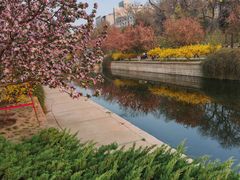 -元大都城垣遗址公园