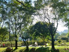 -人民公园(罗湖区)