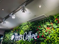 -Peet's Coffee皮爷咖啡(大学路店)