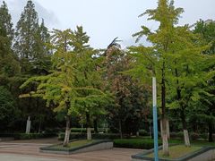 -老福庆和特色粉面馆(单洞三路店)