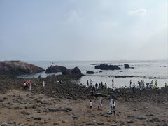 -小麦岛公园