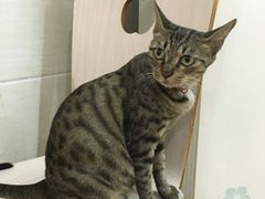 -合味道娟姨美食(堑头店)