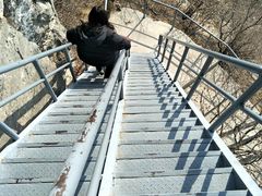 -神农山景区