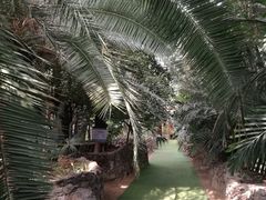 -呀路古热带植物园