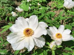 -江南大学(蠡湖校区)