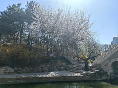 -团结湖公园