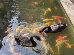 -湖鲜楼