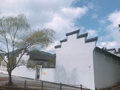-四明山国家森林公园