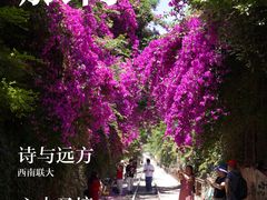 -云南师范大学(一二一西南联大校区)